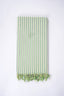 CBT-12 RX BATH TOWEL 30X60 - Light Green