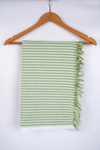 CBT-12 RX BATH TOWEL 30X60 - Light Green